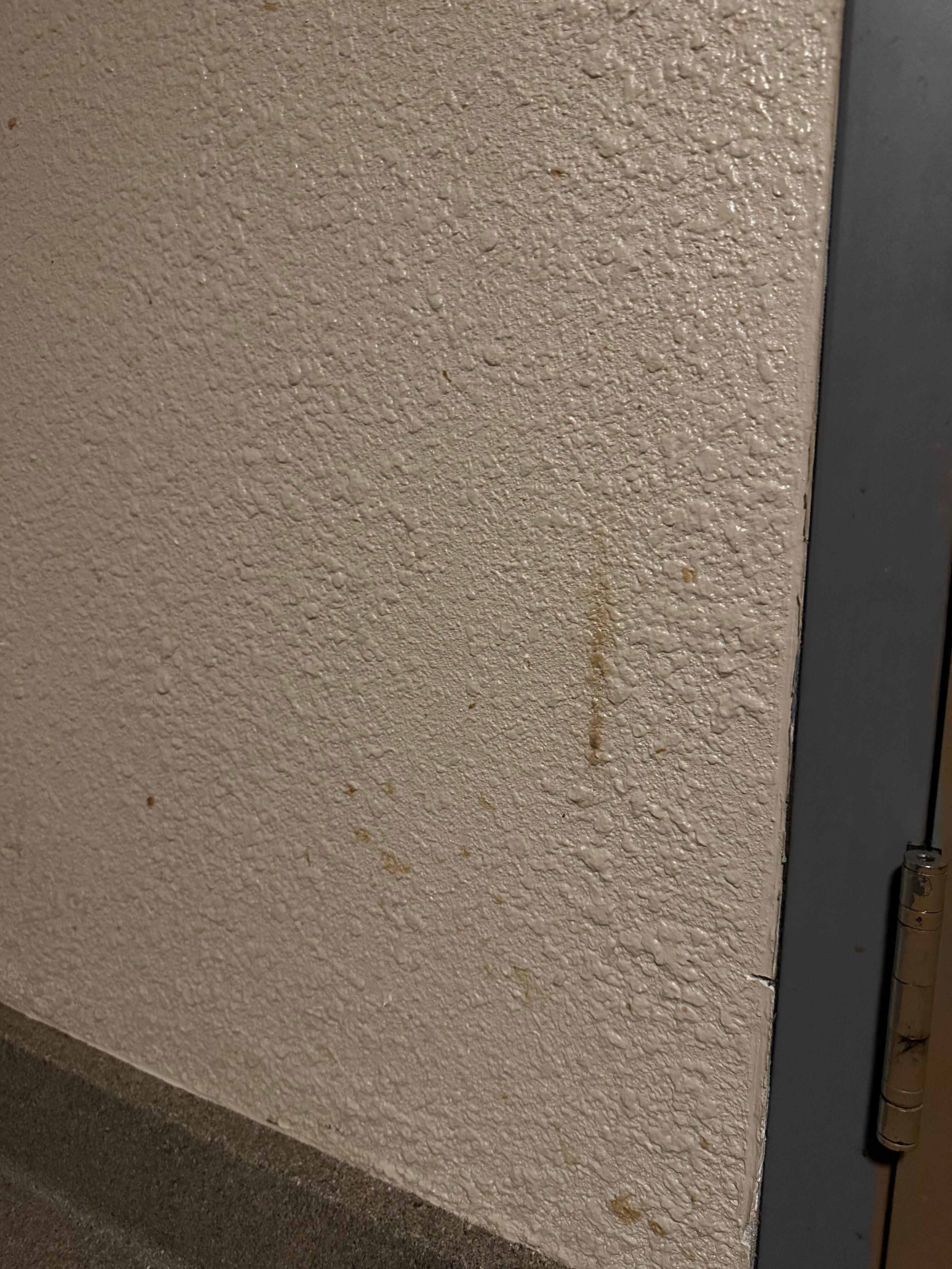 Miscellaneous splatters on the wall