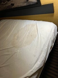 Dirty Mattress