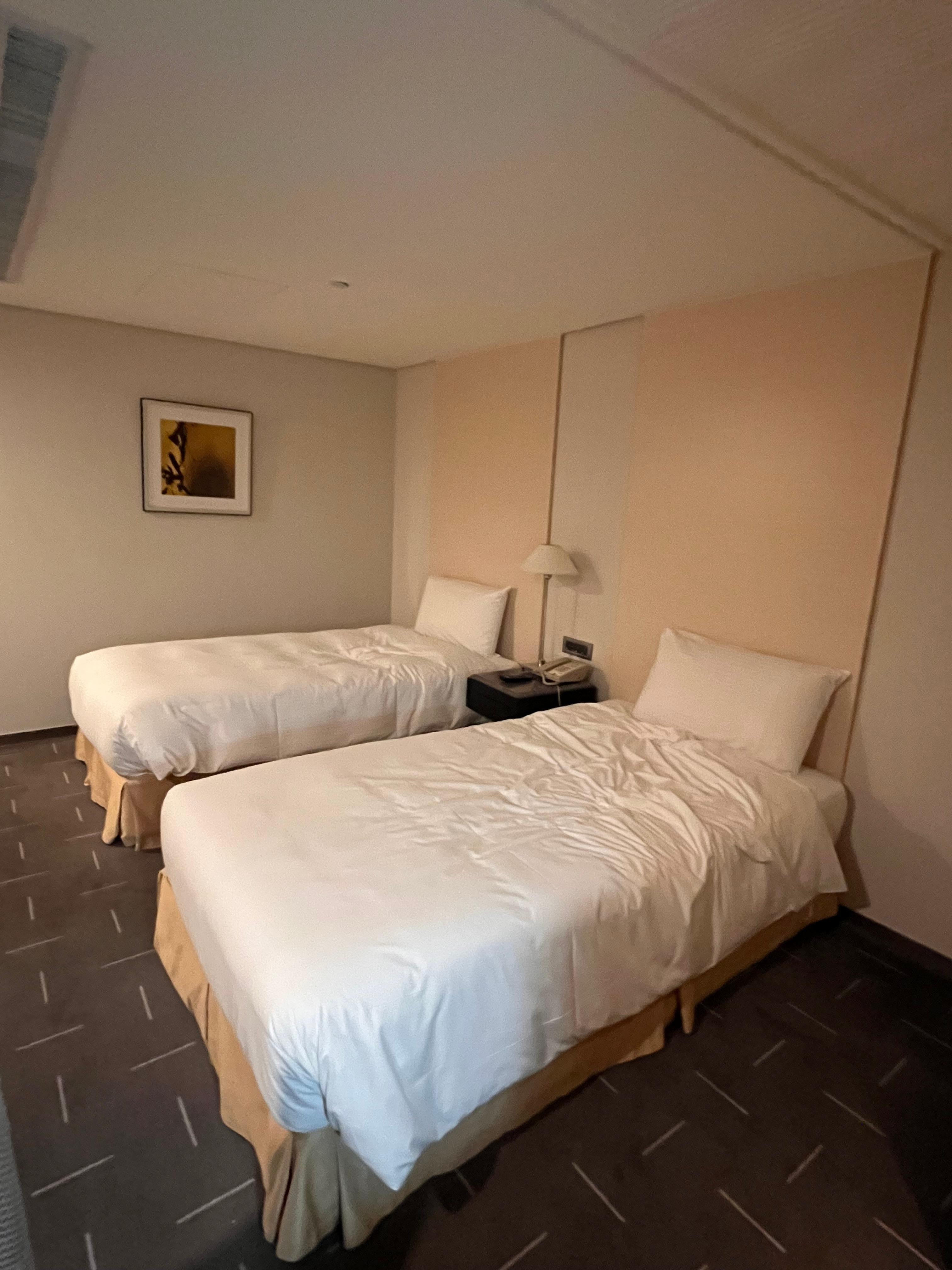 兩張單人床，軟硬適中。