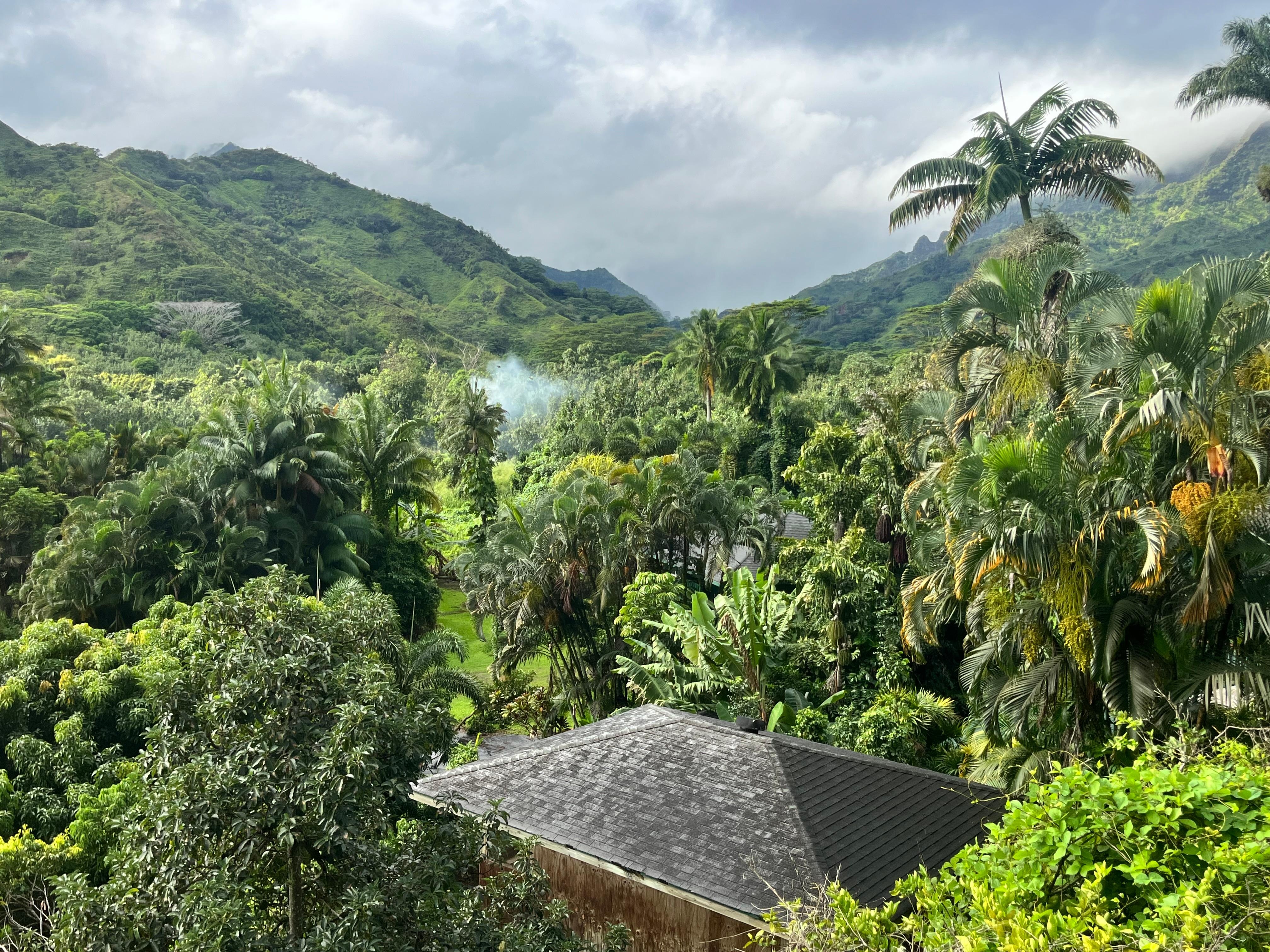 View from living room 