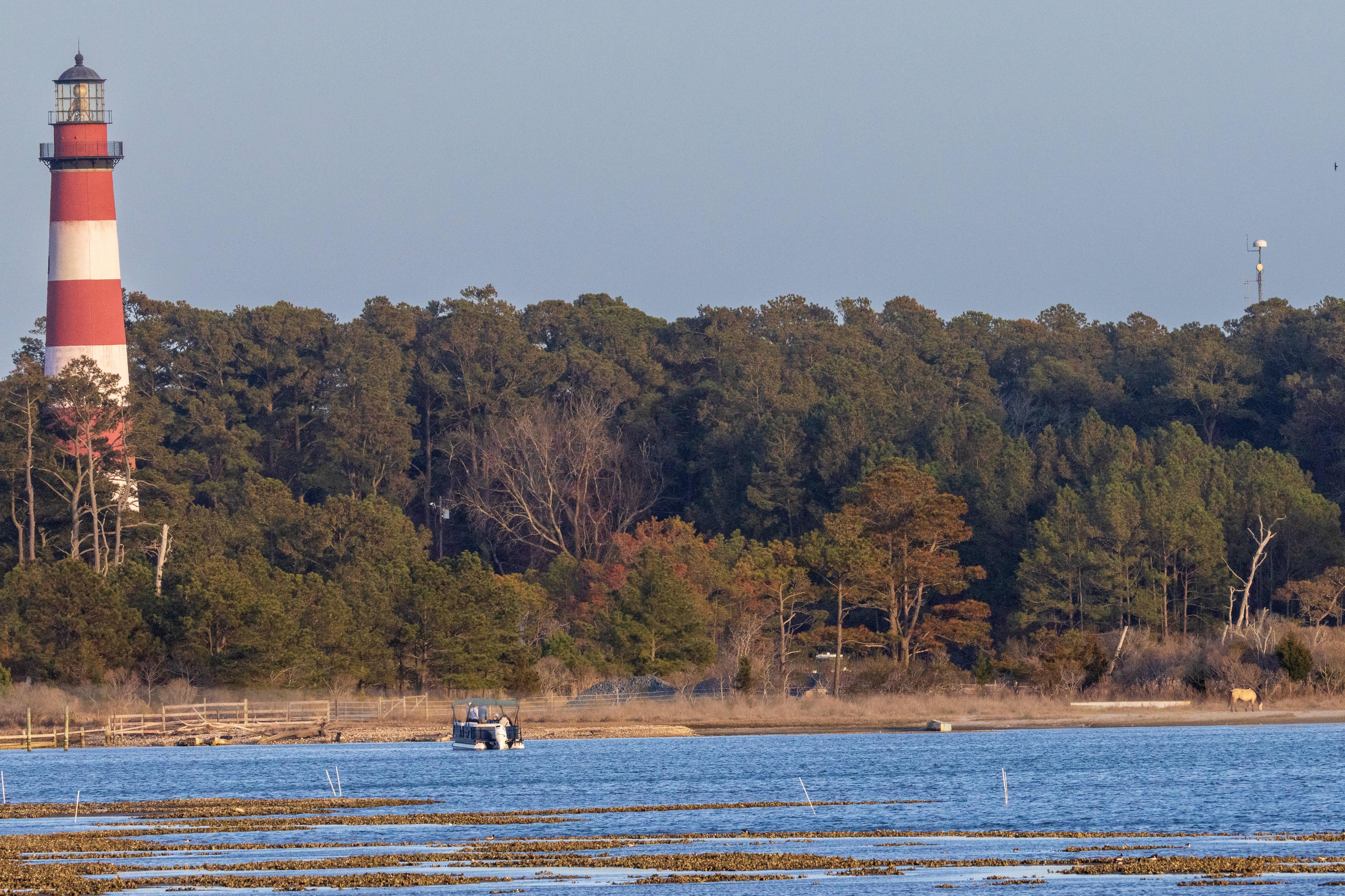 Lighthouse and pony from the deck
