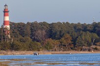 Lighthouse and pony from the deck