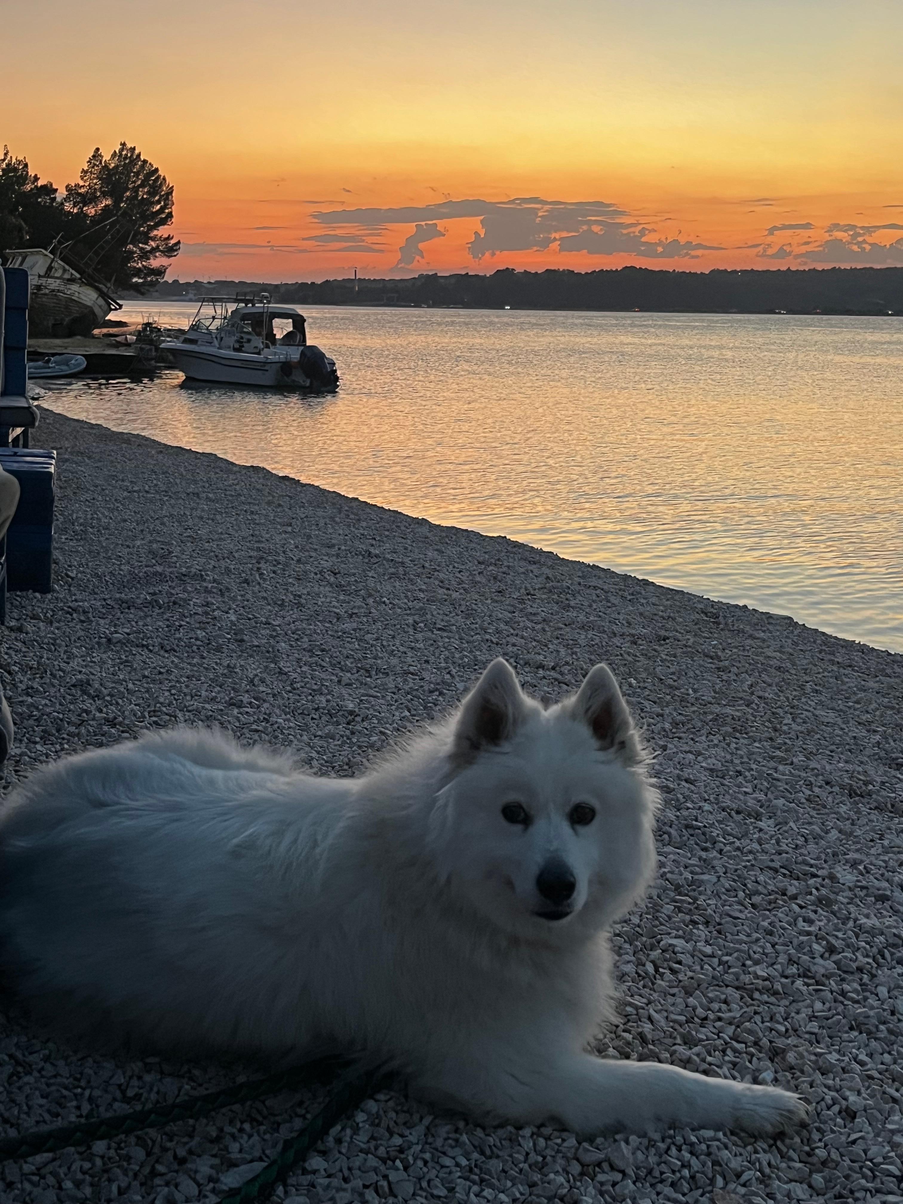 Strandbar am Hundestrand in Tar