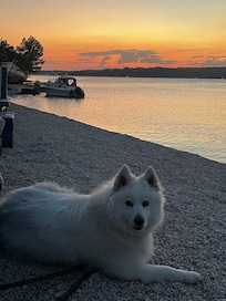 Strandbar am Hundestrand in Tar