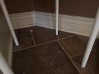 Someone’s Tooth cleaner on bathroom floor
