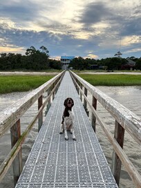 Gus on the pier.