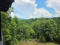Back porch view