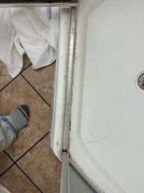 Mold in shower