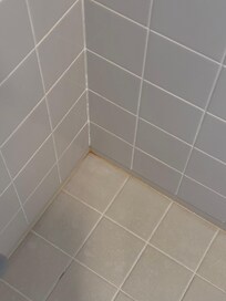 Pink mold in the shower room