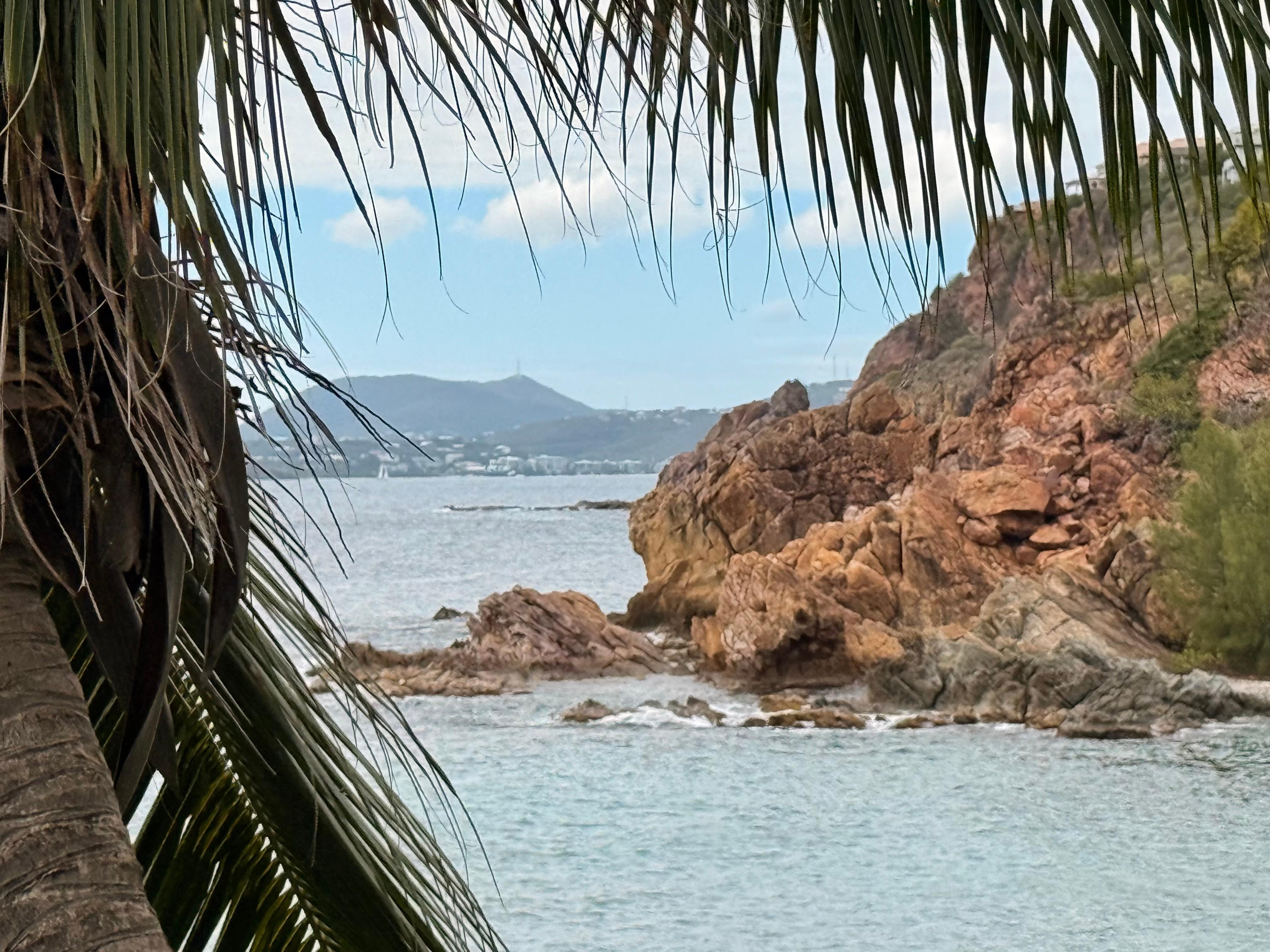 Snorkeling by big brown was great!