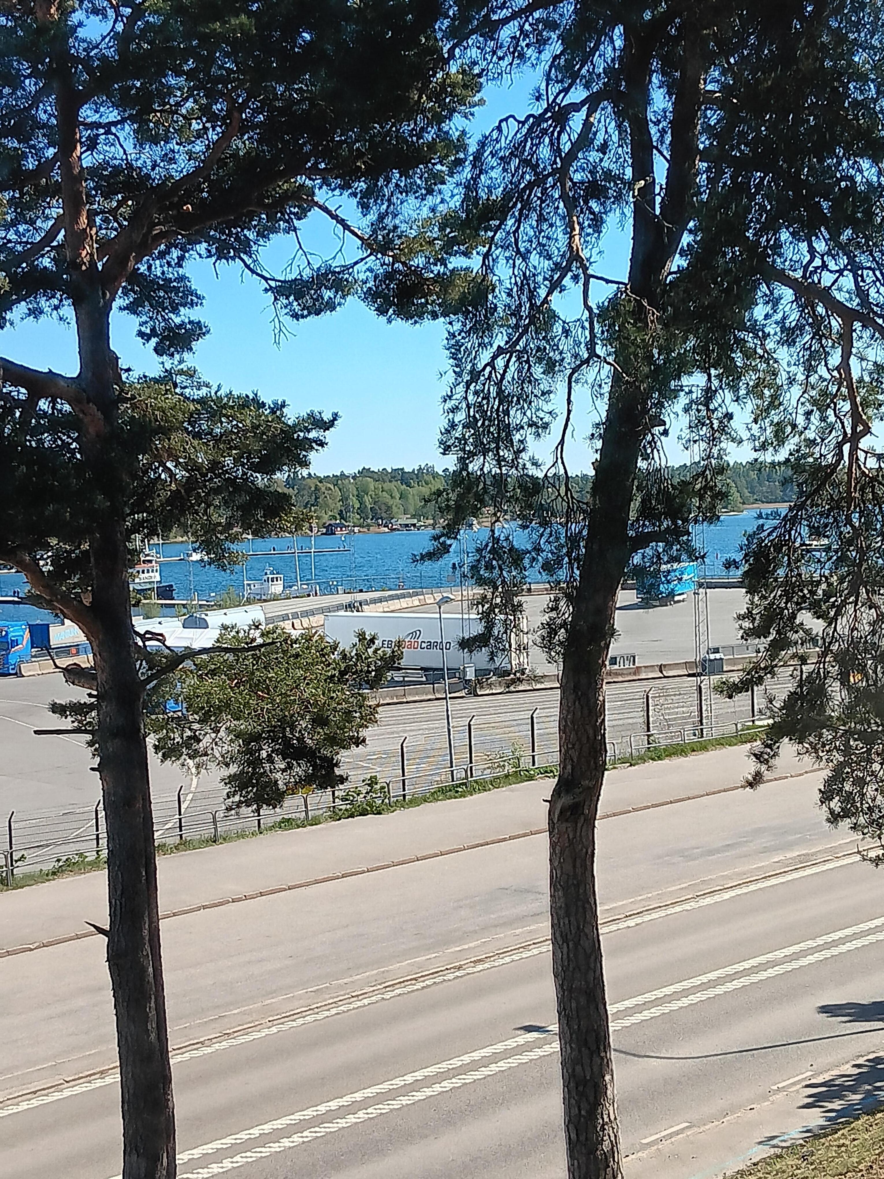 Utsikt från fönster