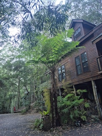 Cabin