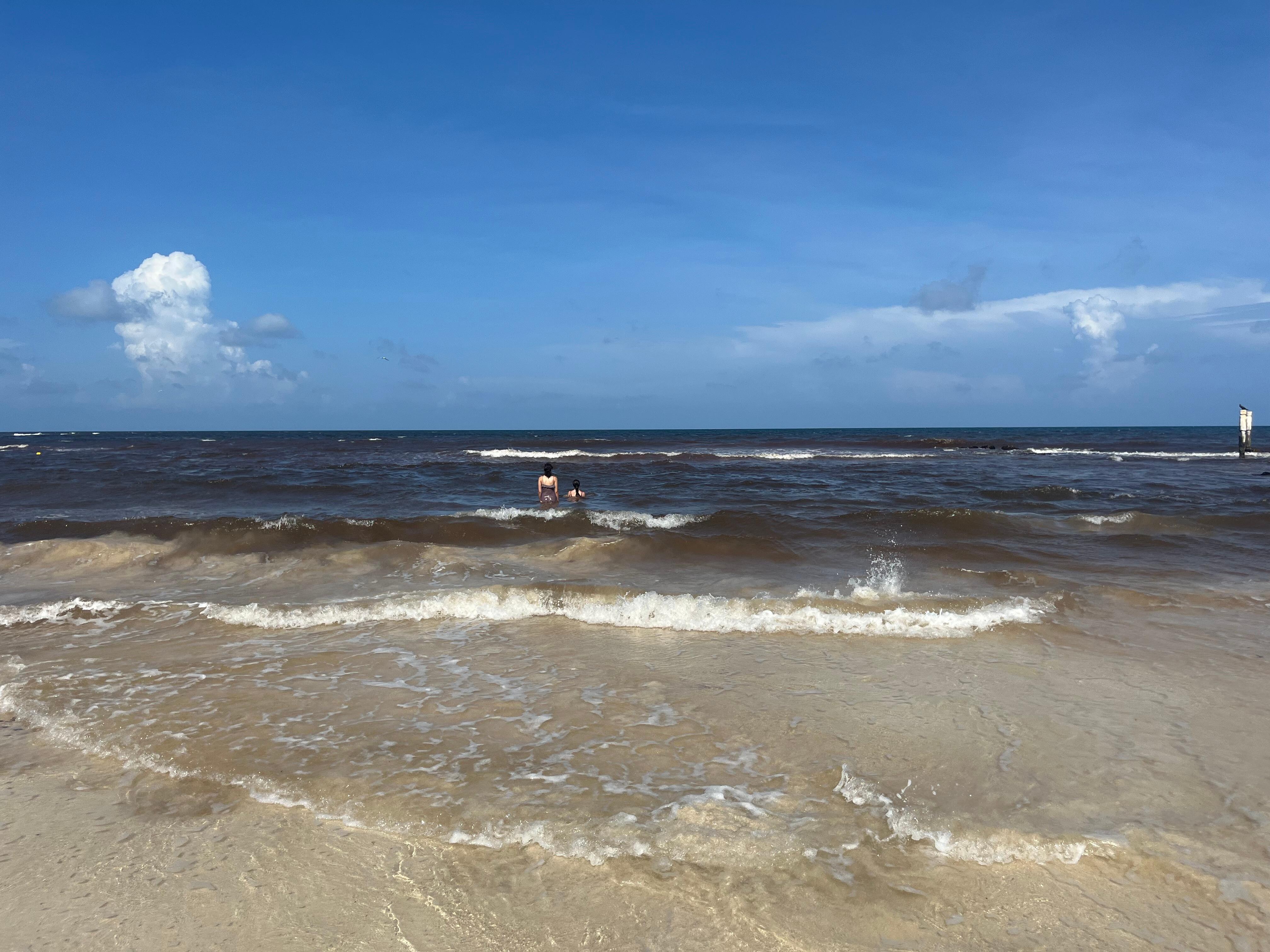 Beach we walked to - about 500 yards away. Great waves to play in, unfortunately sargasso seaweed got a little heavy during 2nd half of our stay.