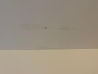 Repaired? leaky ceiling…?