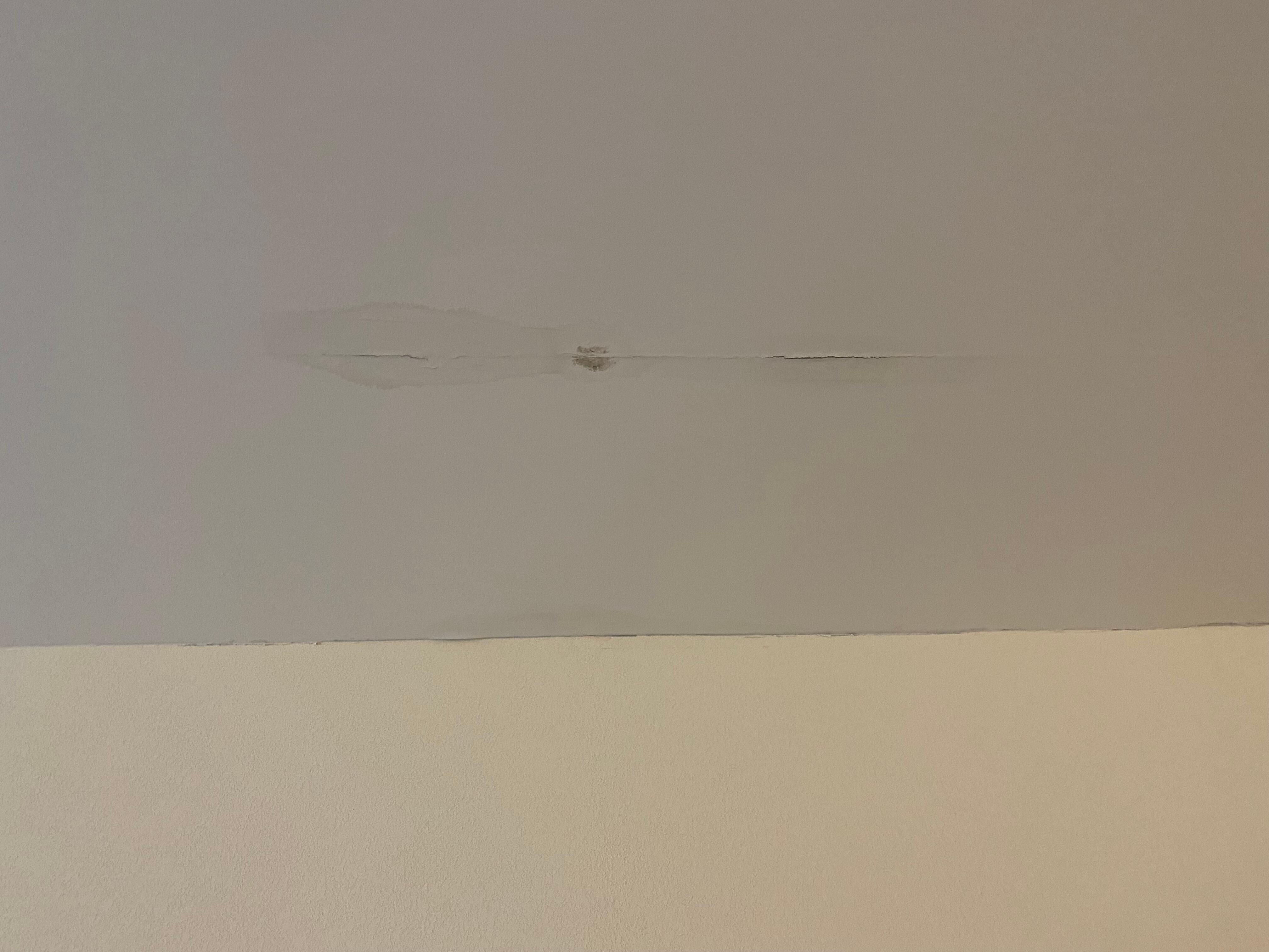 Repaired? leaky ceiling…?