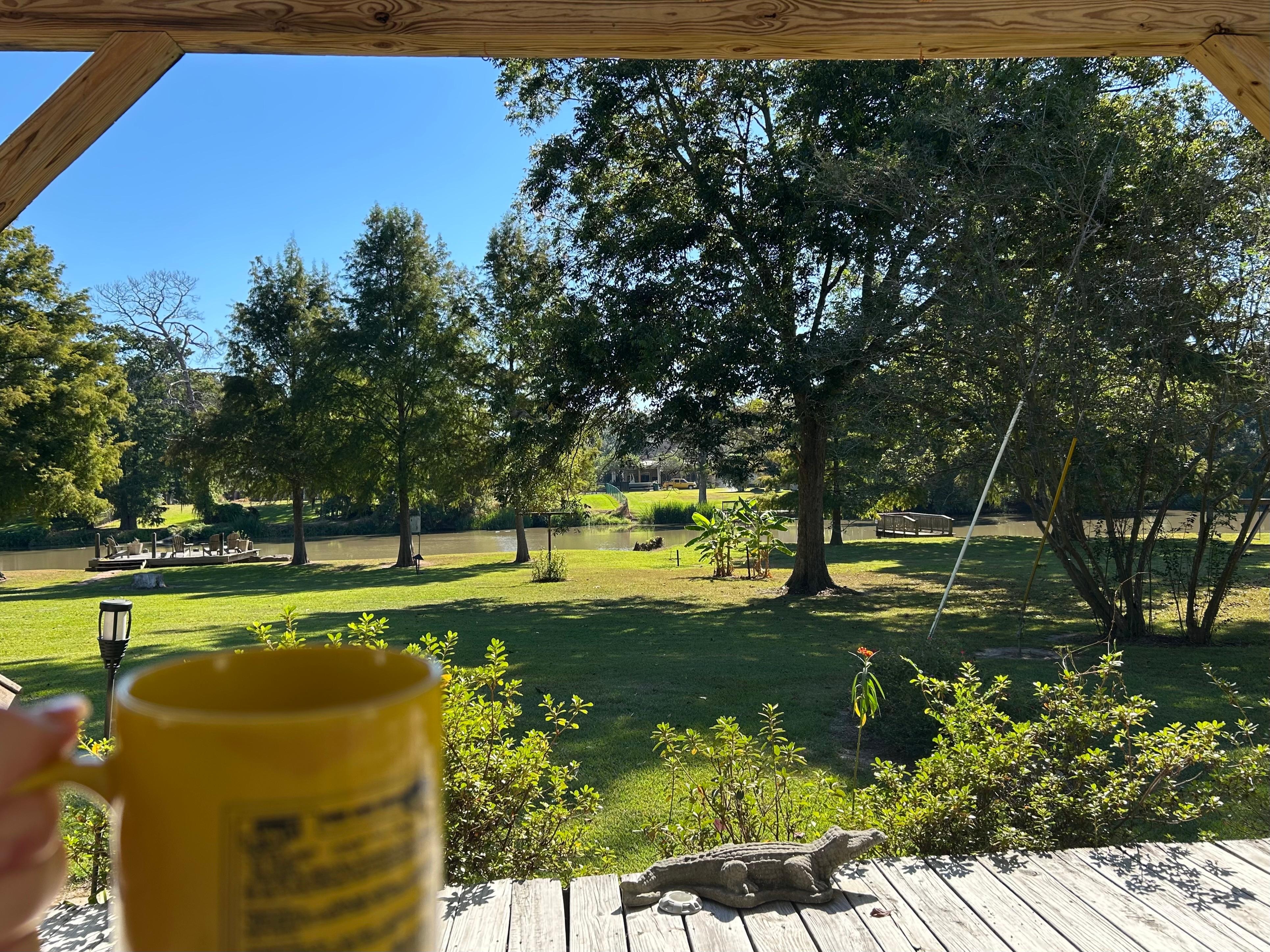 View of the Vermilion River from the porch. 
