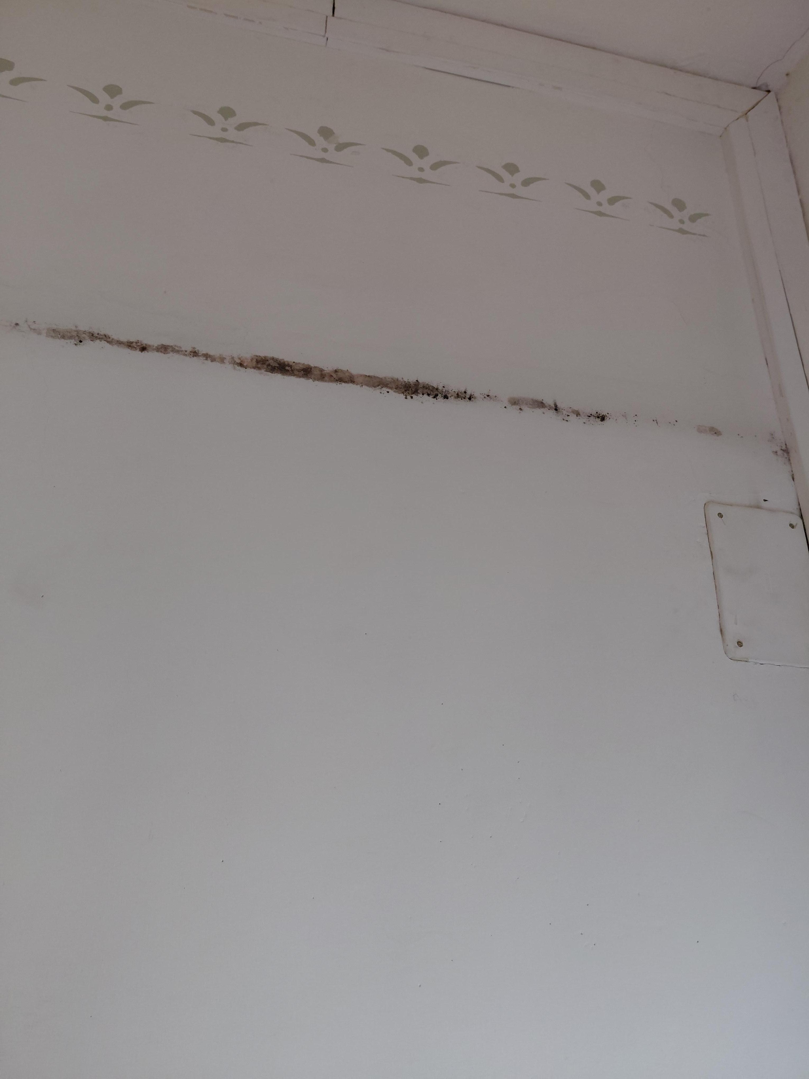 Black mold on the wall in our room.