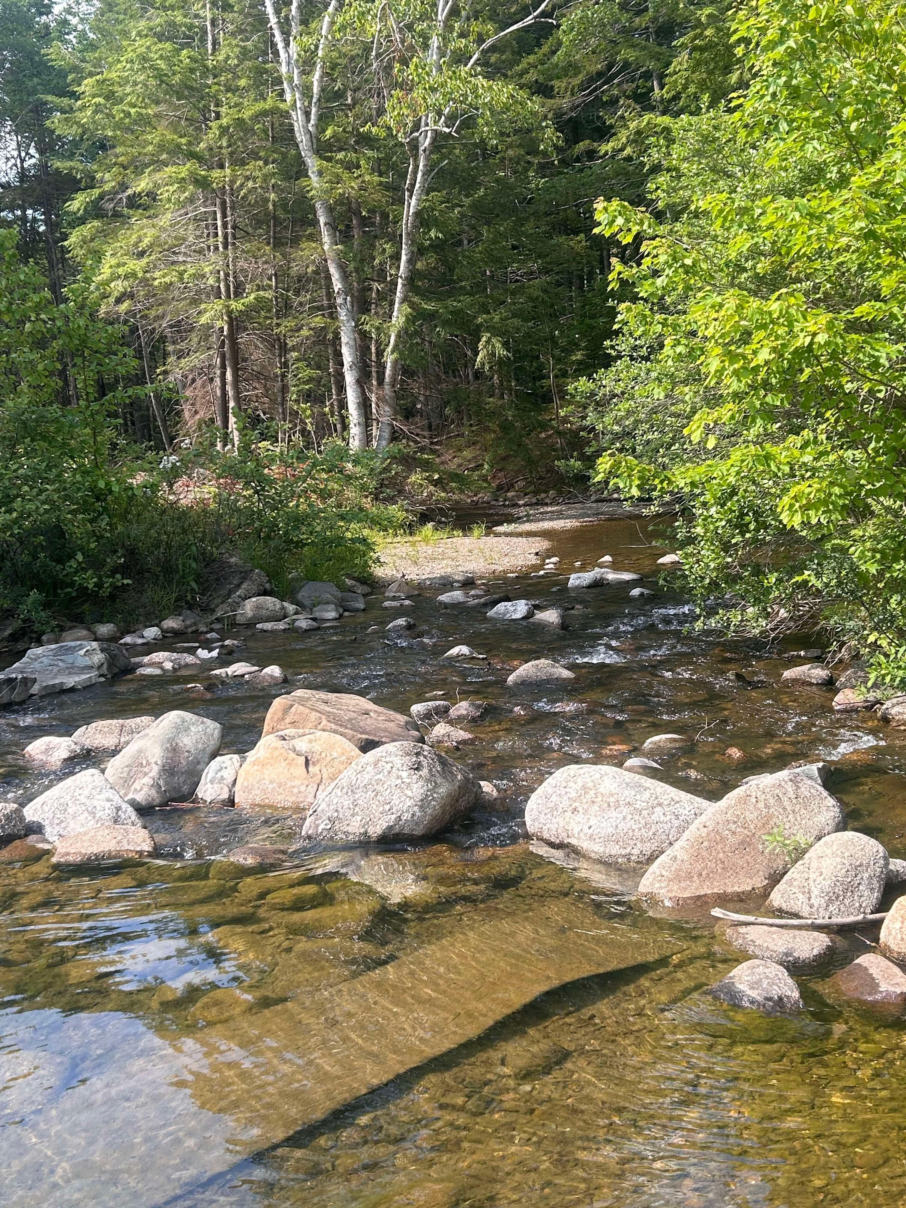 A creek nearby
