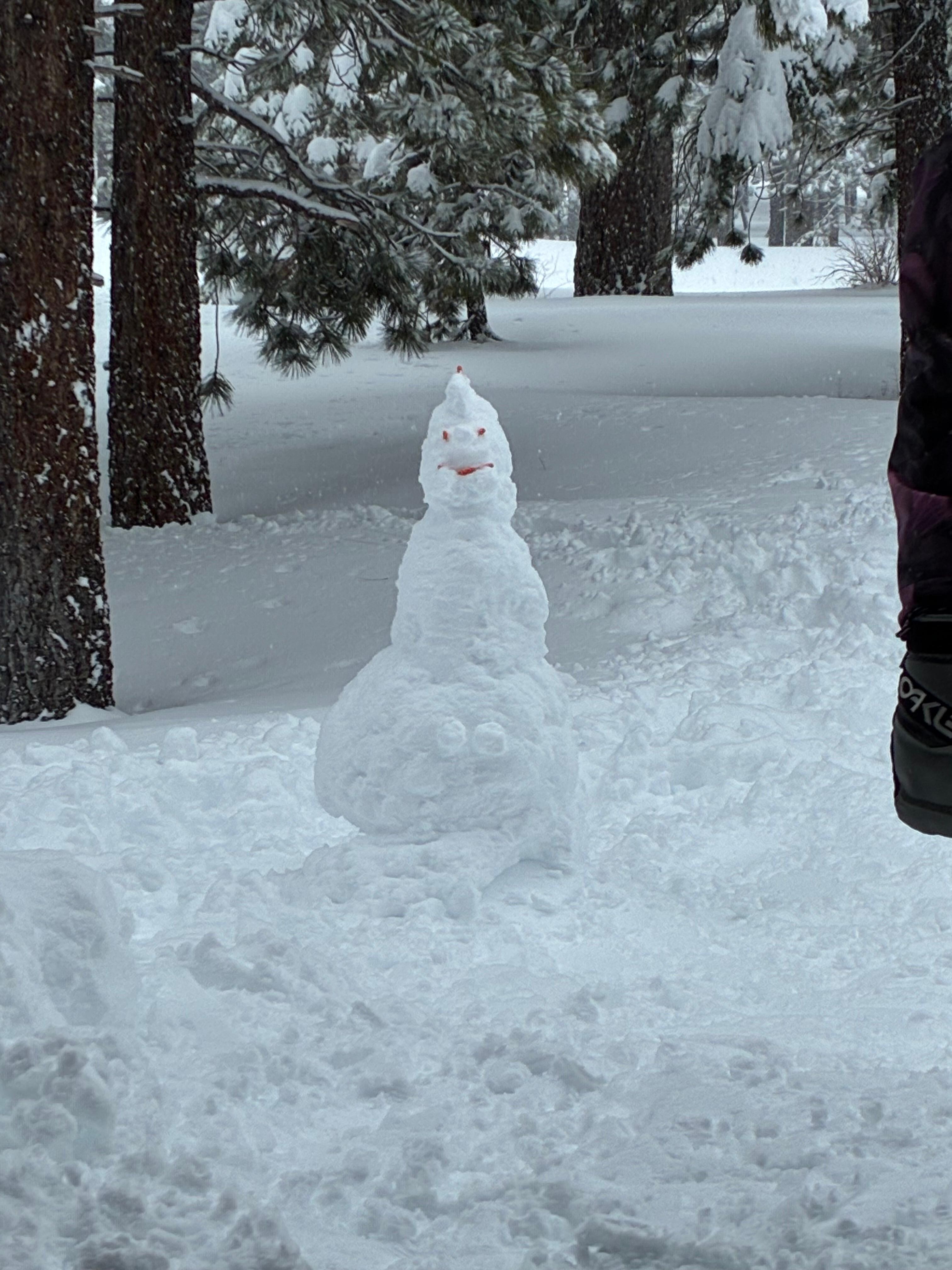 Backyard snowman we built 