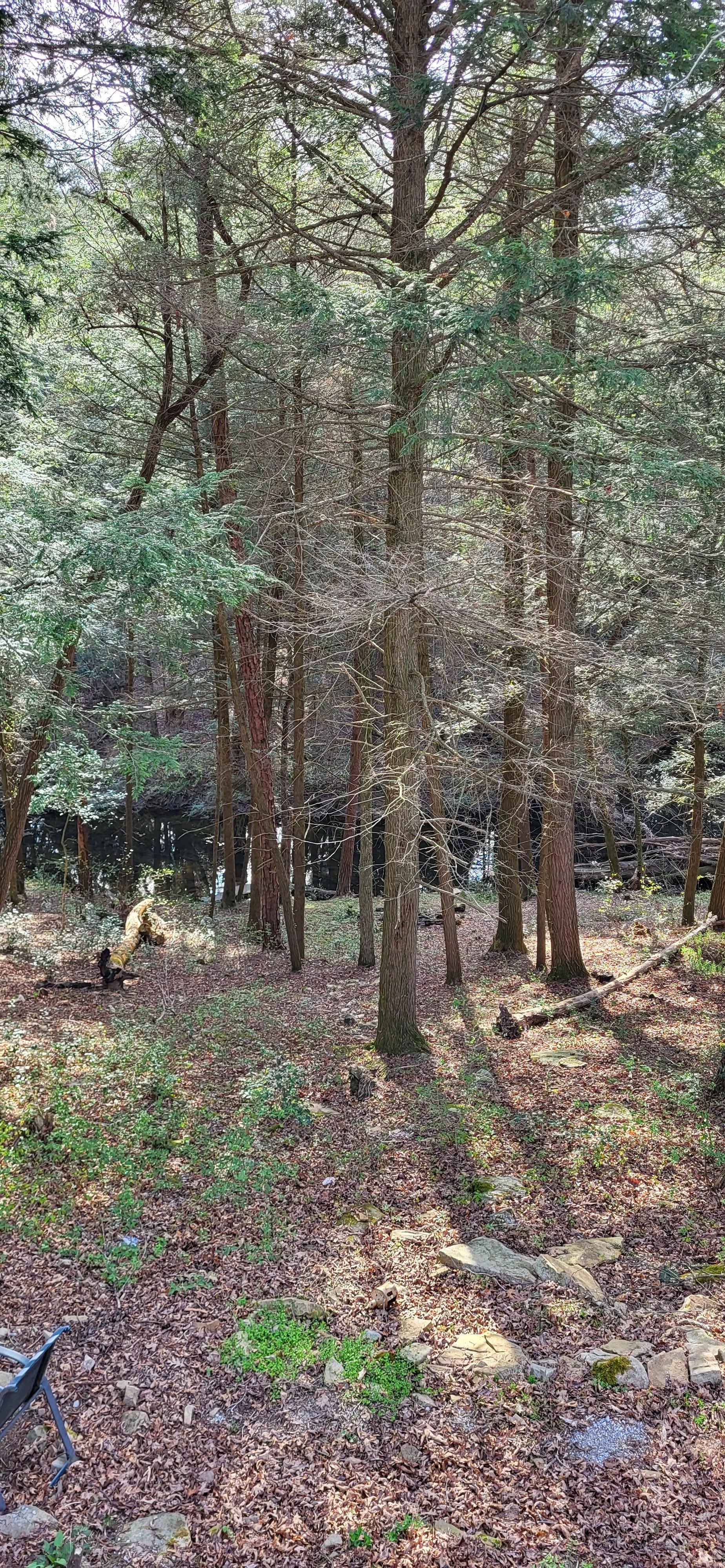 View from our cabin!