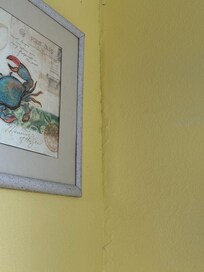This wasn’t the only wall that looked this way. The ceilings and walls looked like this in some spots in almost every room.
