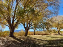 Dead Horse Ranch State Park