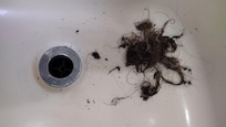 gross drain hairball