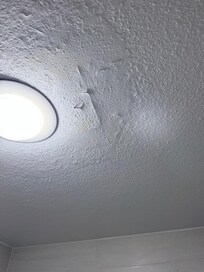 Bathroom ceiling