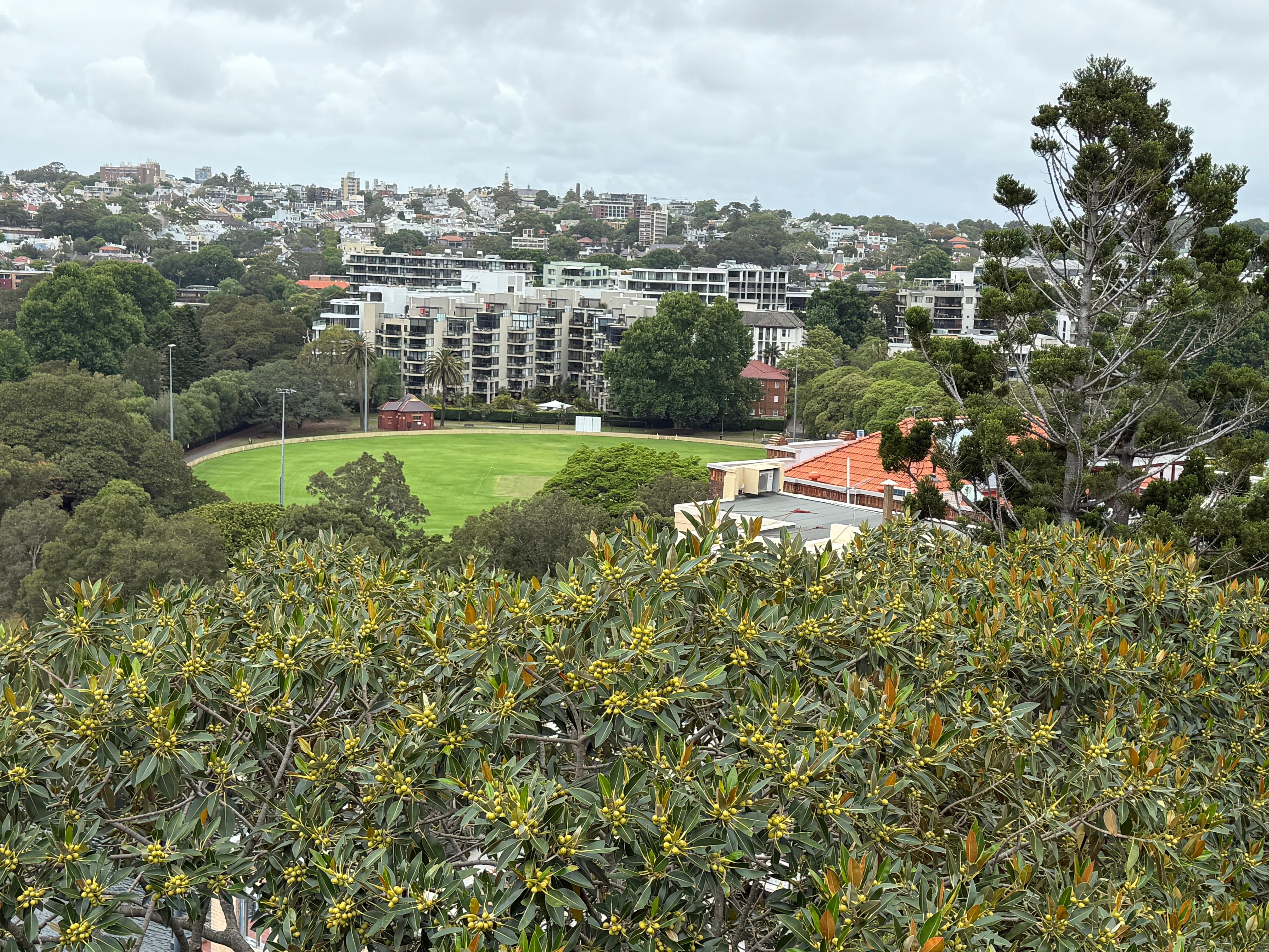 Great view from the flat