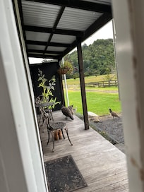 Front porch visitors!