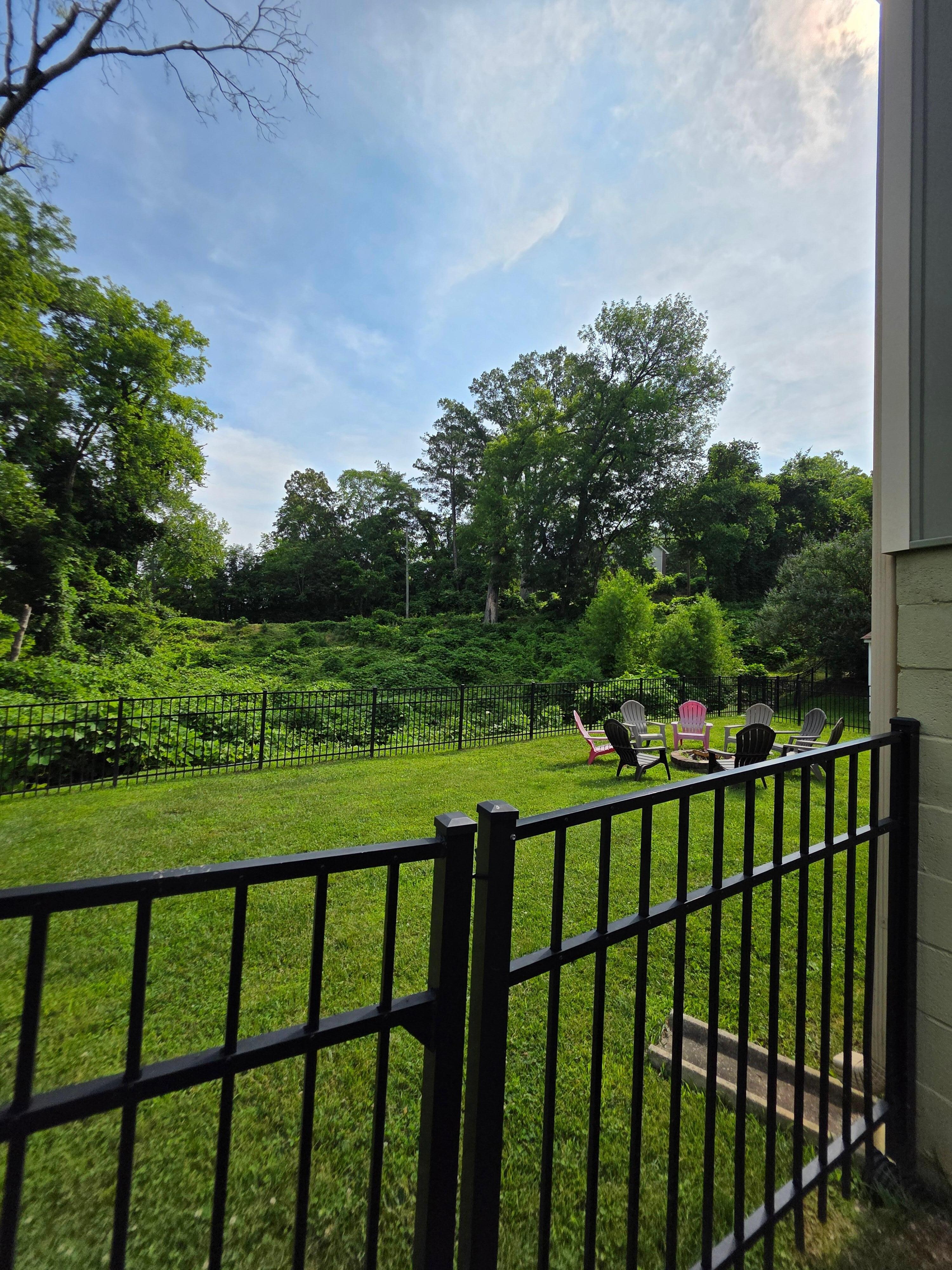 Back yard