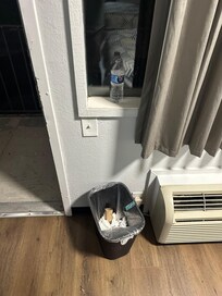 Trash around room and in all cans
