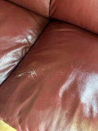 Hair all over the couch.