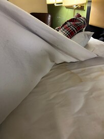 Stained mattress, wiith lots of little curly hairs attached to the underside of the mattress cover
