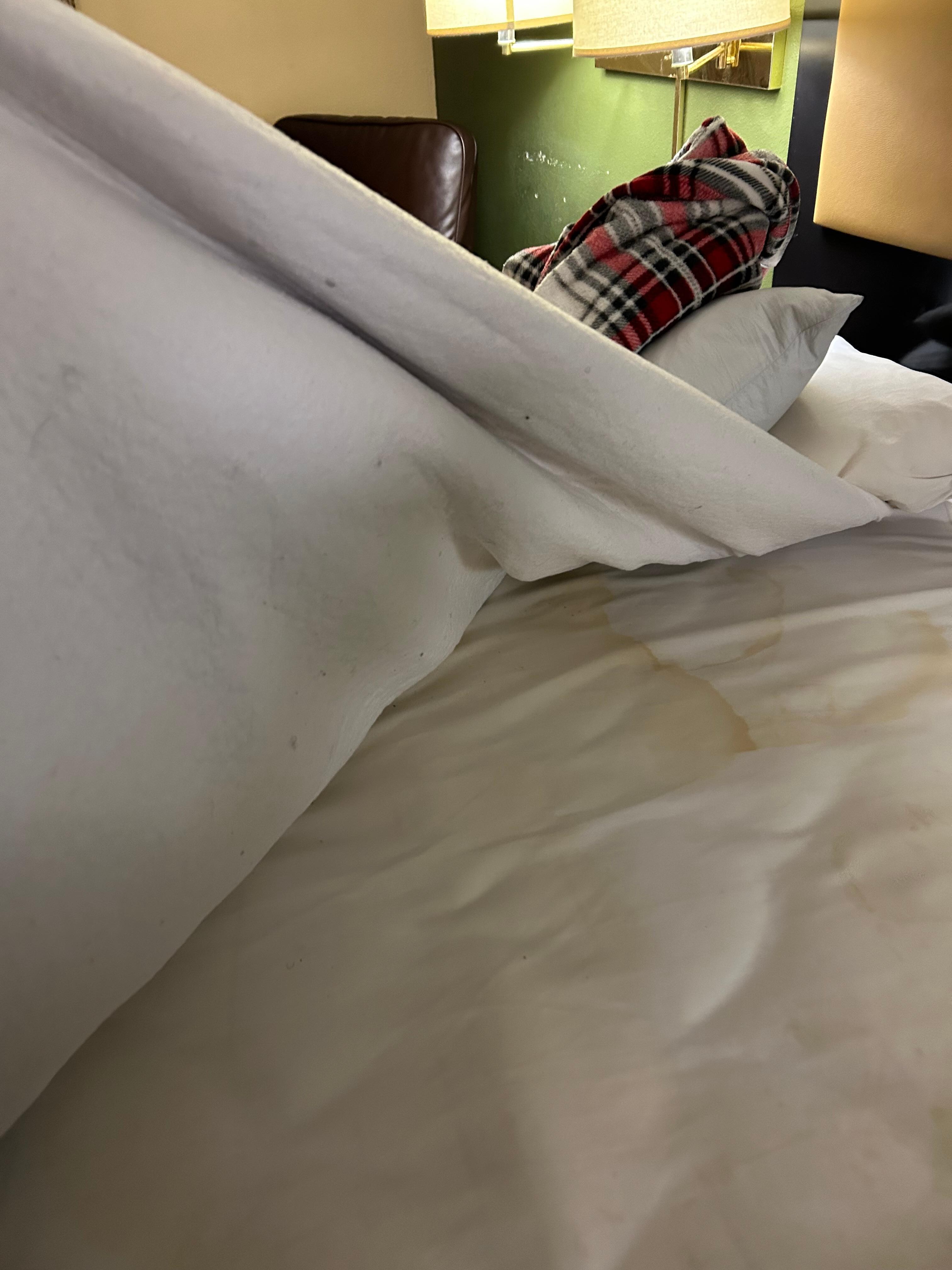 Stained mattress, wiith lots of little curly hairs attached to the underside of the mattress cover
