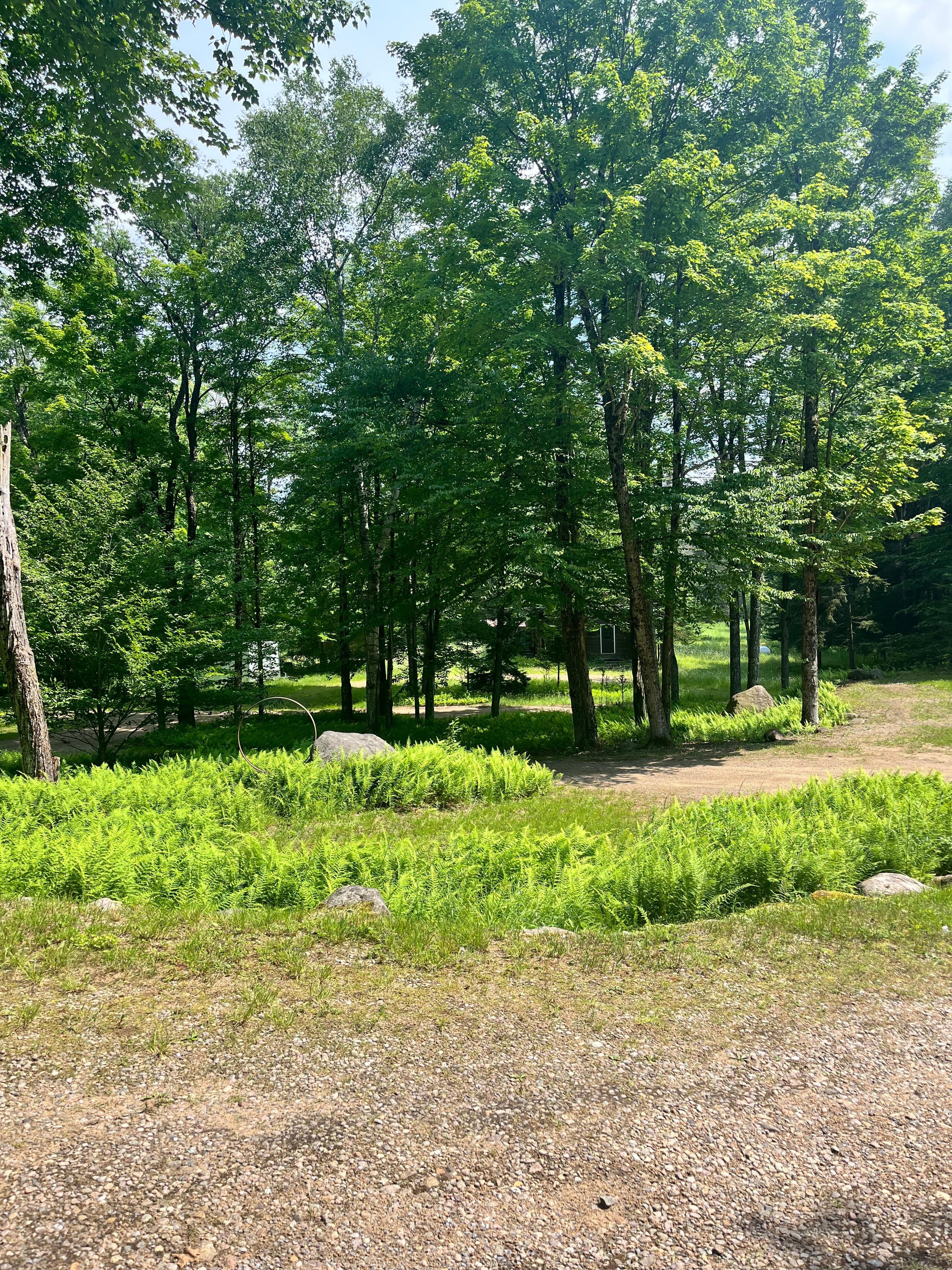 The yard