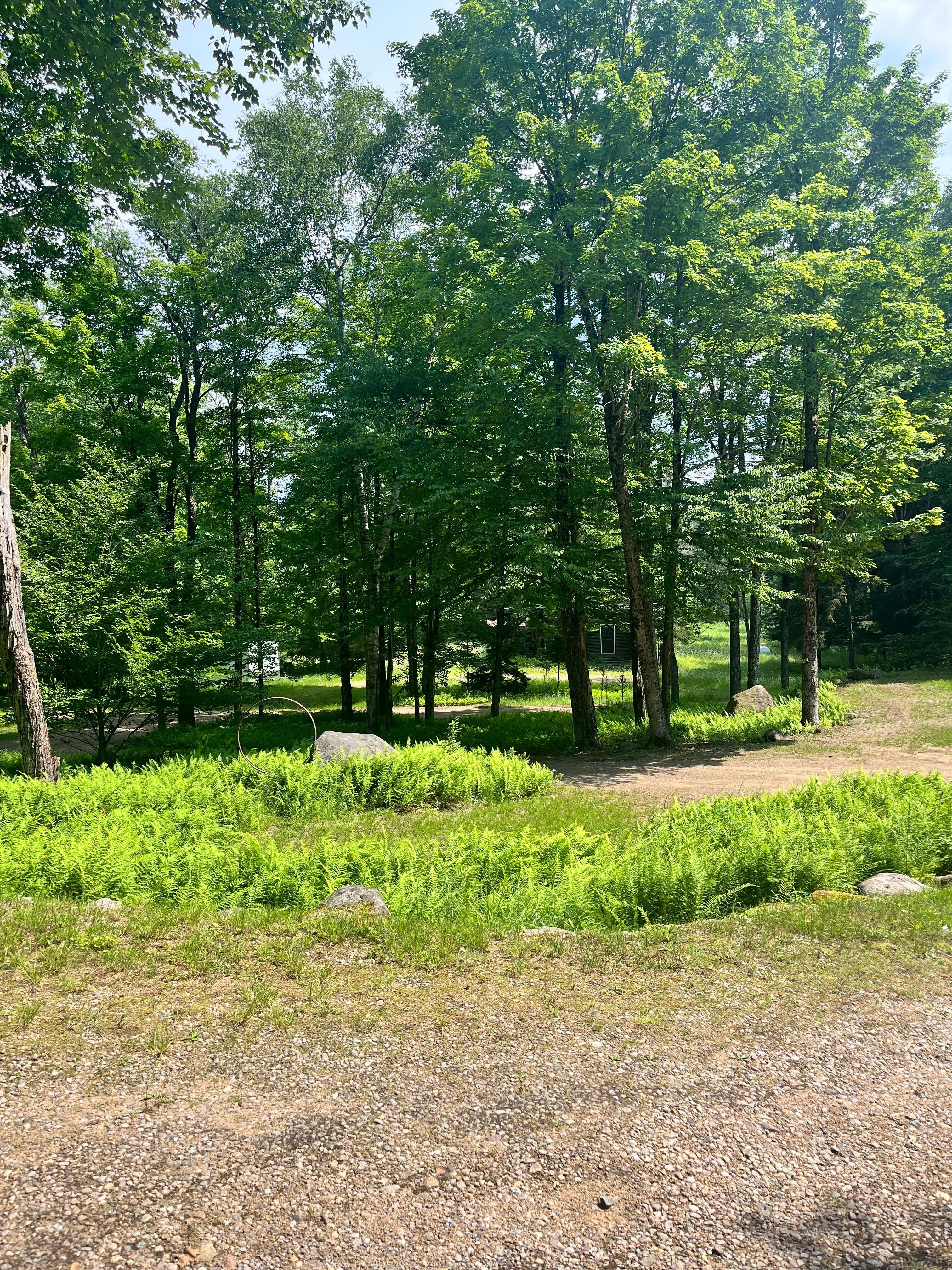 The yard