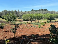 a working farm