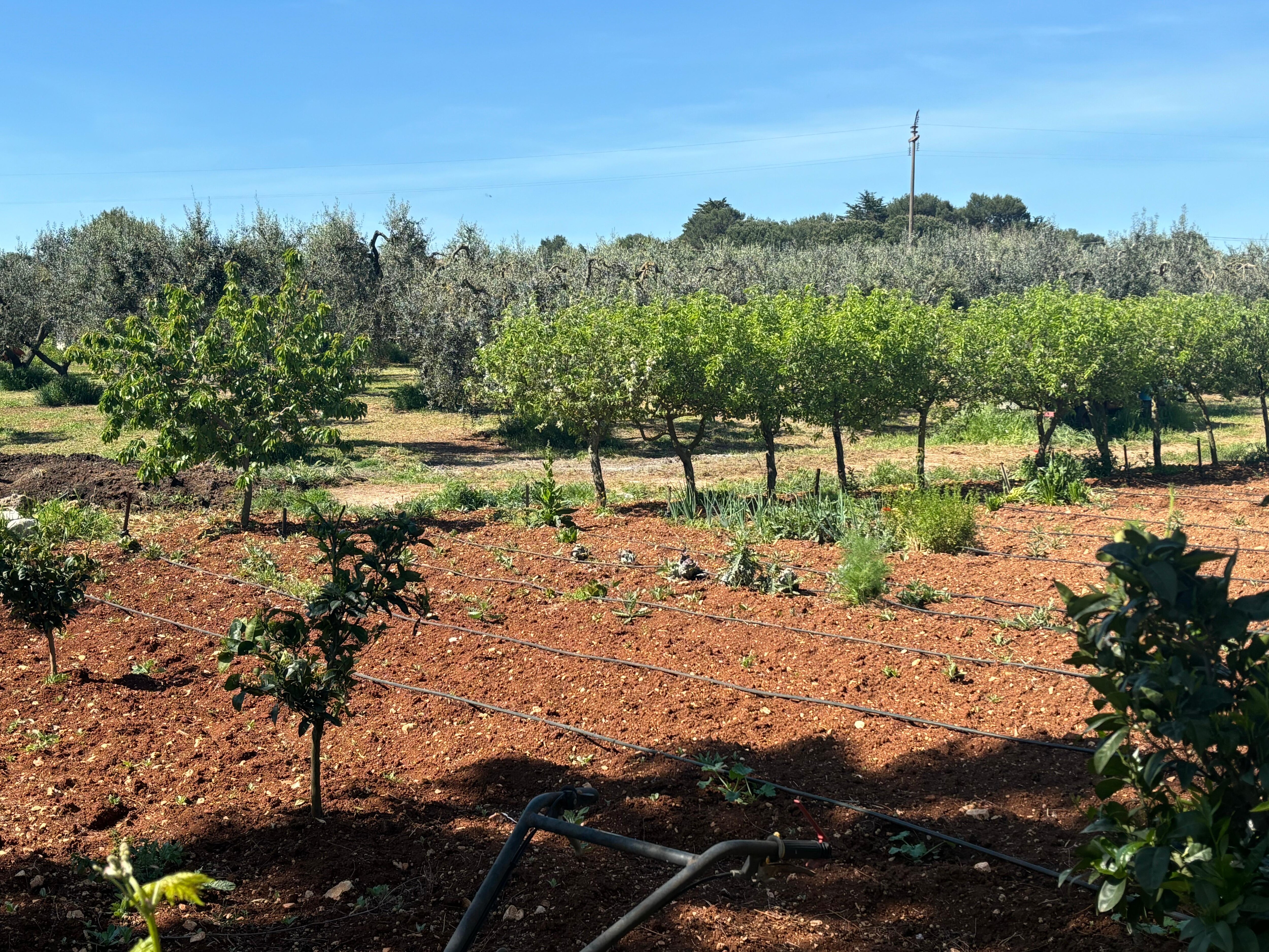 a working farm
