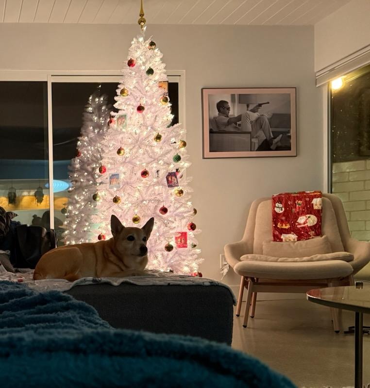 and we did spend a lot of time inside too LOL - one of my babies lounging, watching a Christmas movie while the grown kiddos cooked (only fair, mom paid for the house - and it was worth it!!)