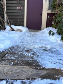 view after I shoveled, when I texted for help because the ice was 4 - 6 inches thick and I could not break it