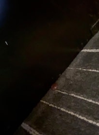 Chocolate junto a la cama