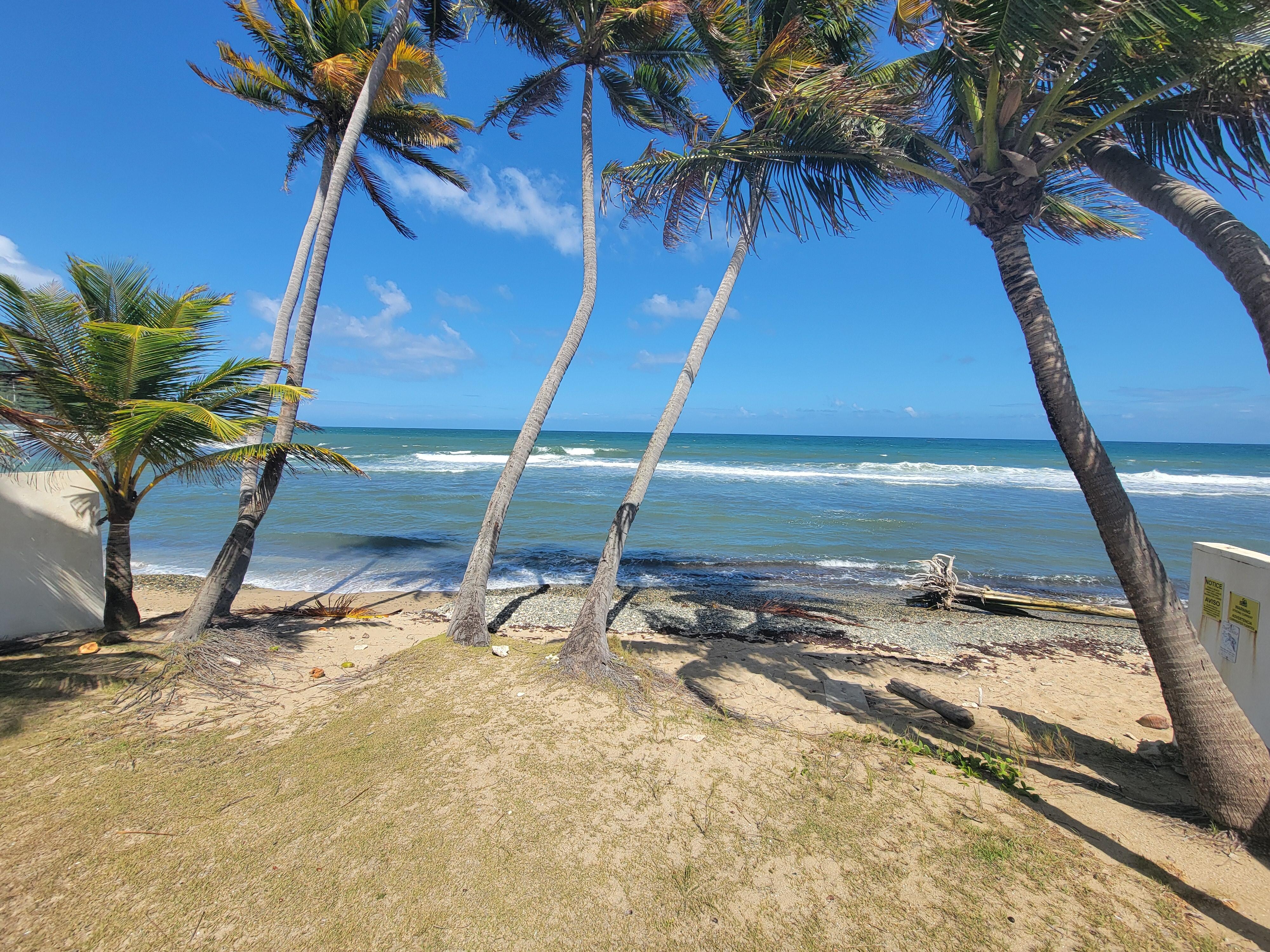 Beach area