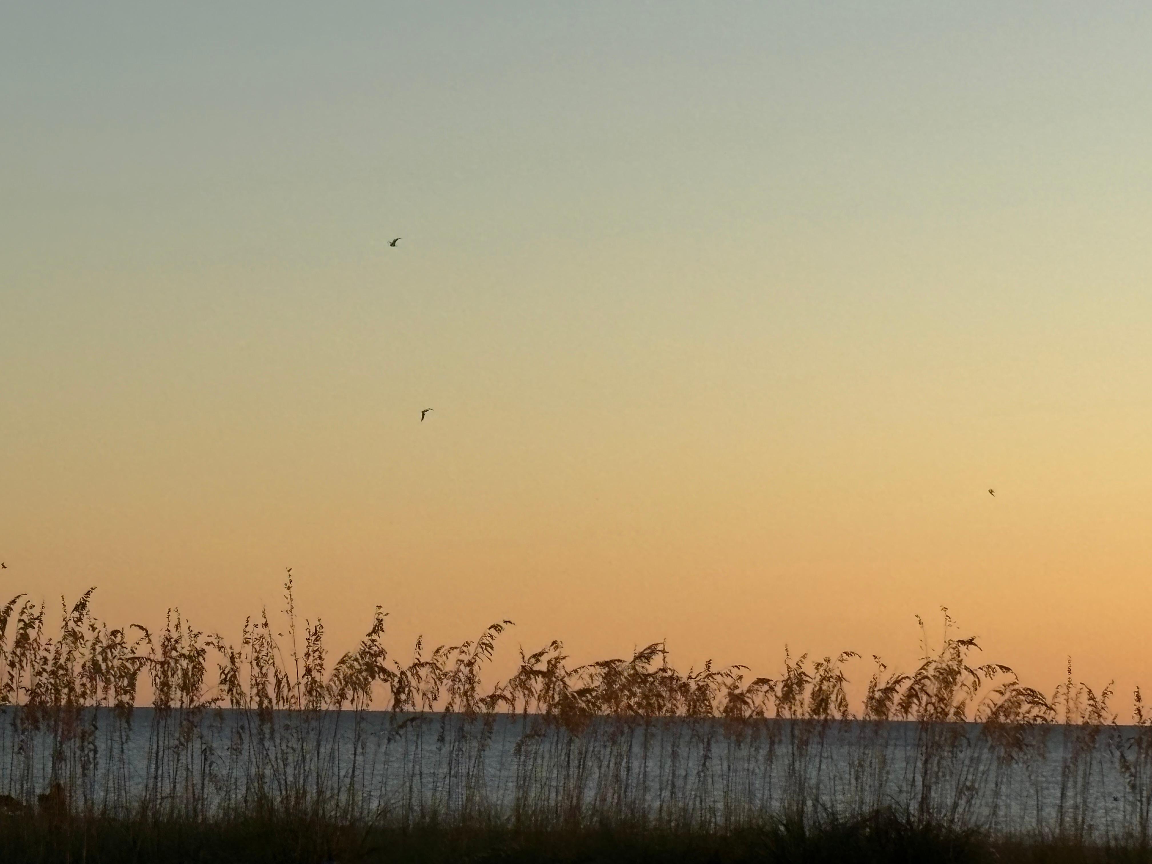 Sunset from the patio!