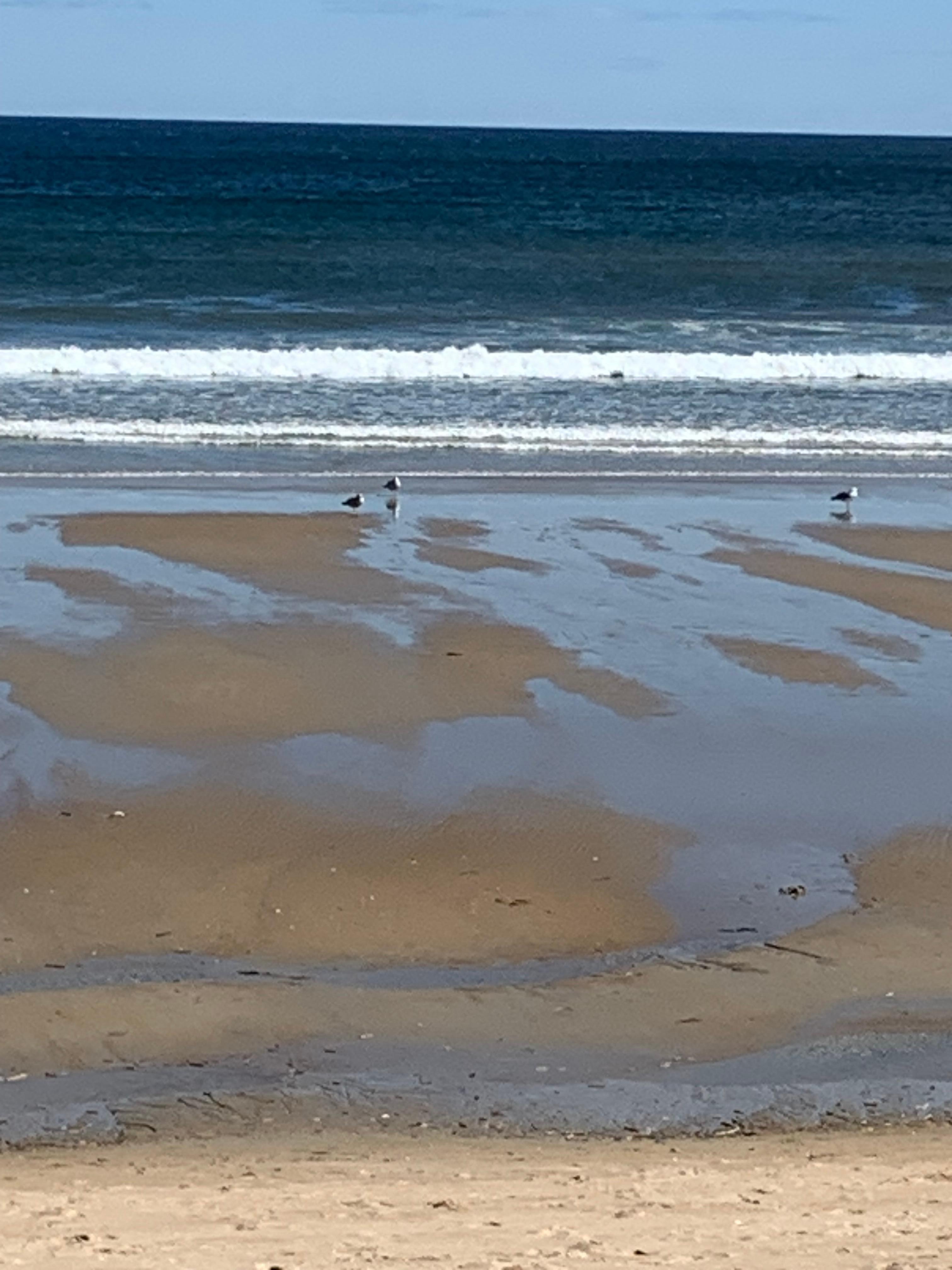 View of water from walkway from hotel. 