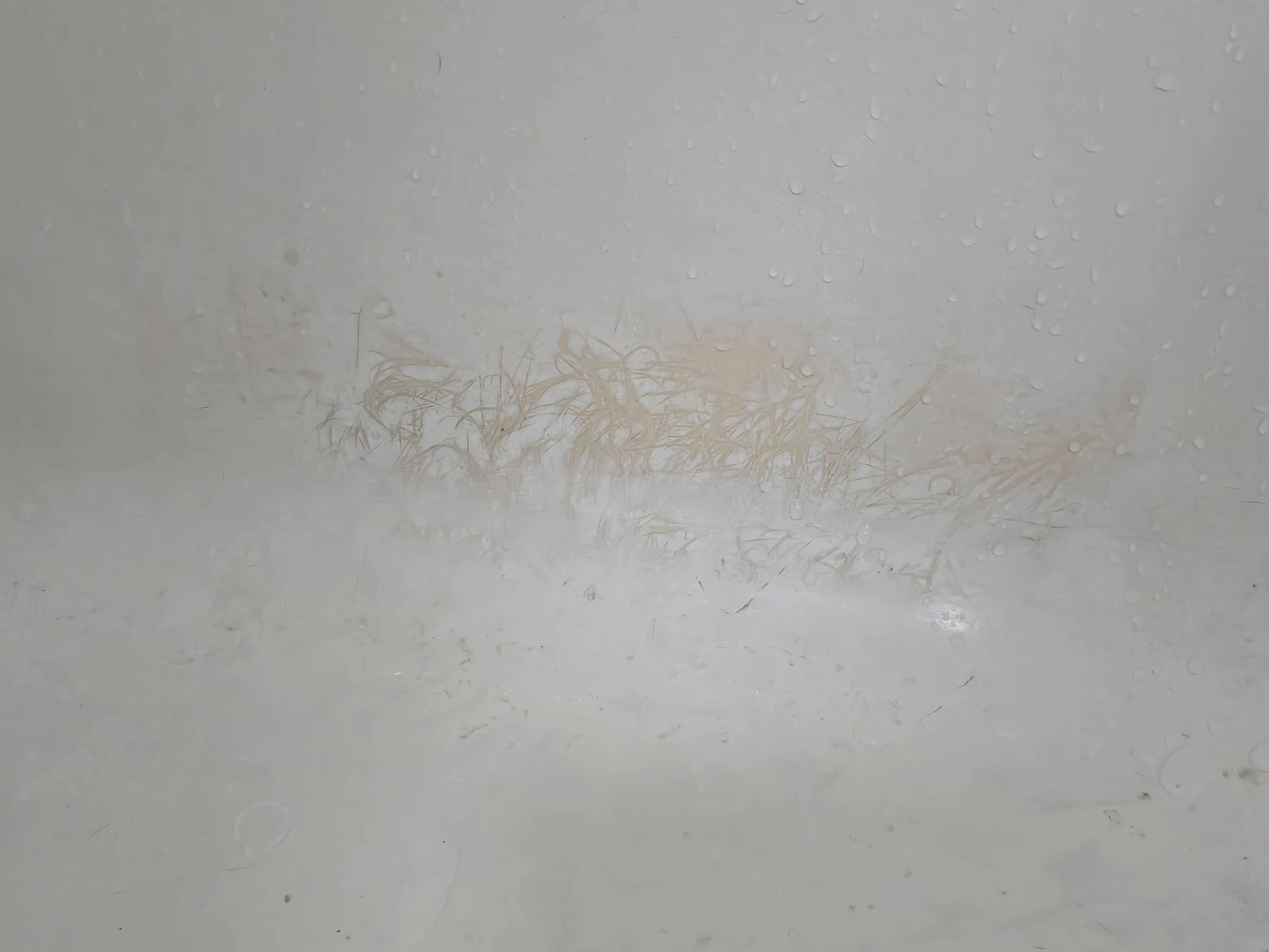 The buildup in tub