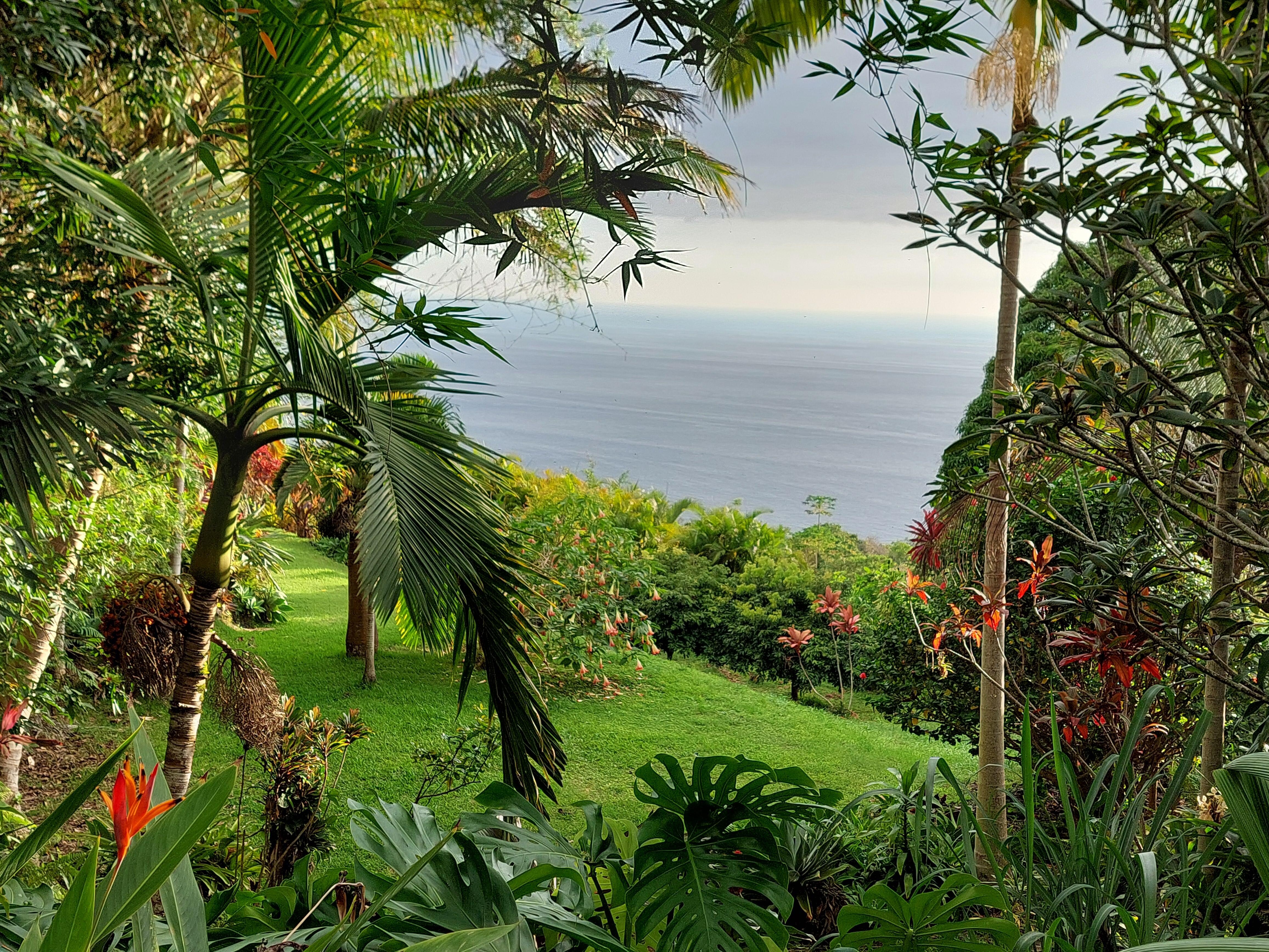 Million dollar view