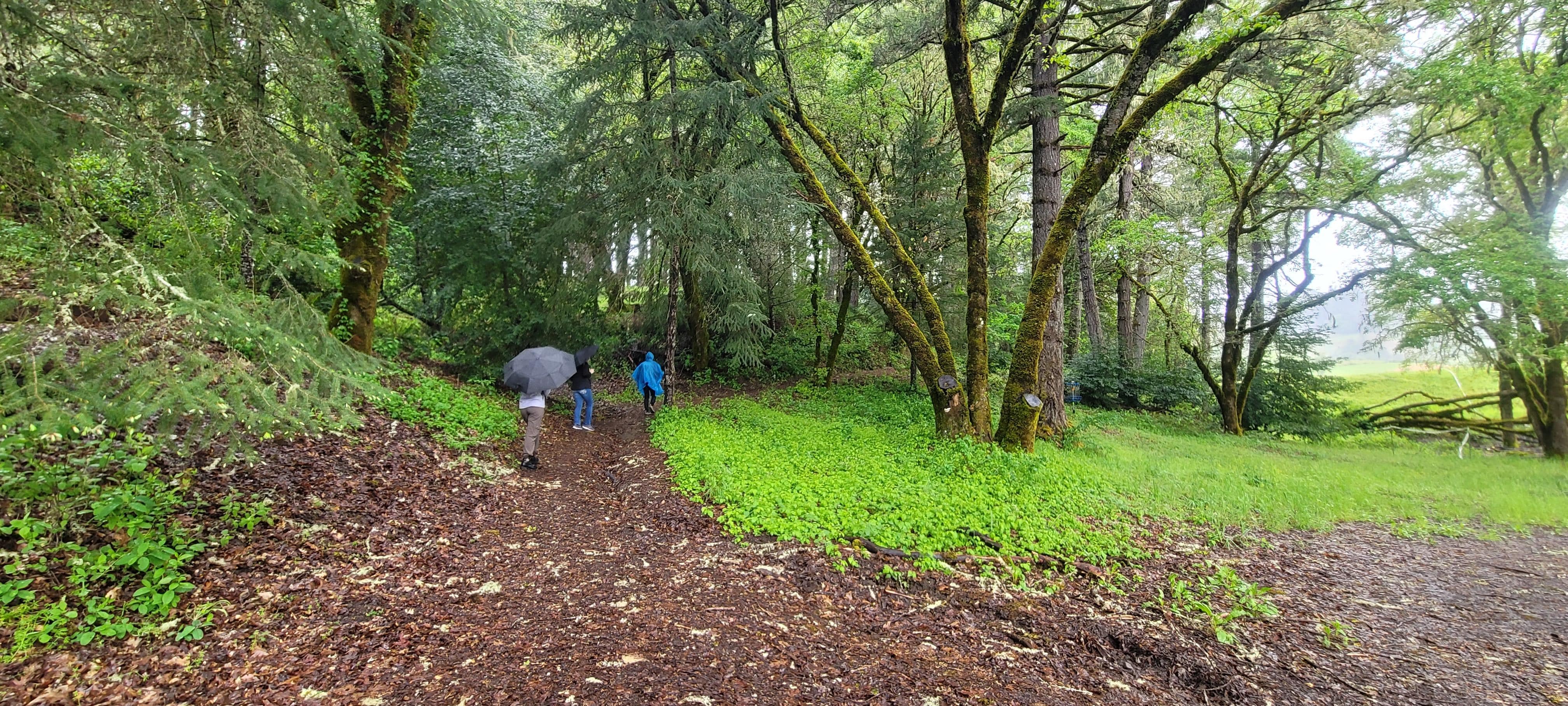 Properly at Mendocino RV