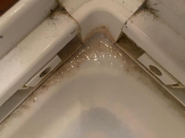 Dirty Shower Cubicle