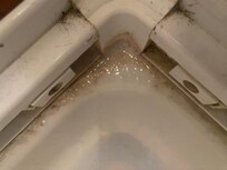 Dirty Shower Cubicle